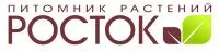 Гортензия метельчатая Грандифлора